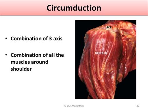 Shoulder Joint Pdf Lecture Notes Drnmugunthanms