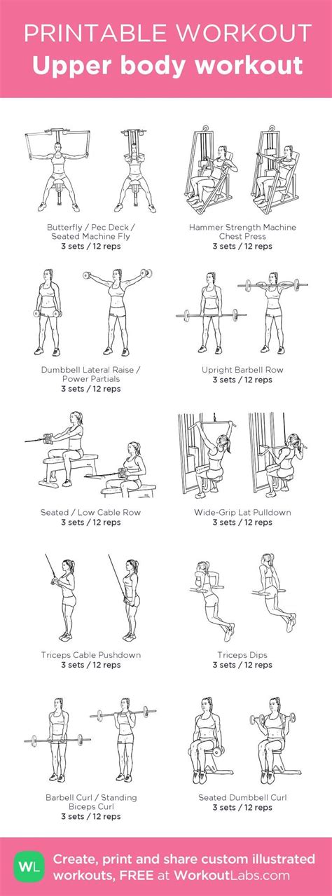 Beginner Upper Body Workout My Custom Workout Created At WorkoutLabs