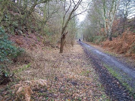 Disused Railway Cutting Blackbrook © Ralph Rawlinson Geograph