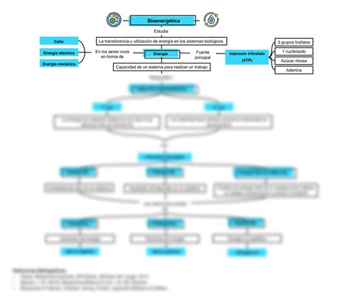 Solution Mapa Conceptual Bioenerg Tica Bioqu Mica Studypool