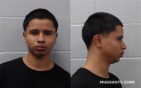 Alvarado Marco Antonio Hays County Mugshots Zone