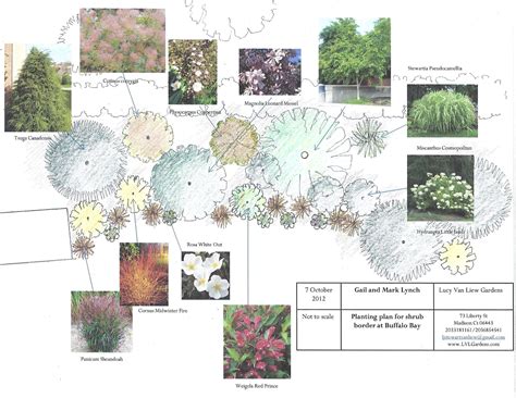 Mixed Shrub Border Planting Plan Printable Templates Free