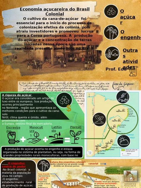 A Importância Da Cana De Açúcar Para A Economia Colonial - Economia Açucareira e Brasil Colonial | PDF | Escravidão | Cana de açúcar