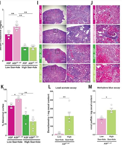 科学网— 转载 Science慢性肾病与肠道菌群新机制 牛耀芳的博文