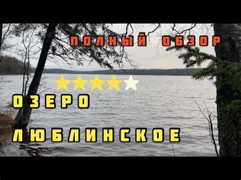 Люблинское озеро.Обзор. Лен.обл. Новое место.Ноябрь 2020 - YouTube