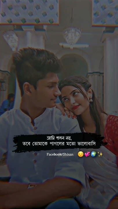 আমি পাগল নয় তবে তোমাকে পাগলের মতো ভালোবাসি😌💞🌍facebook Typing Status