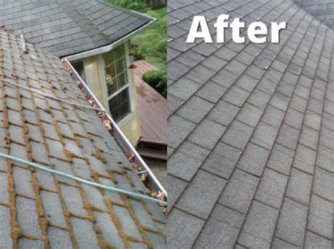 How To Clean Roofing Shingles—3 Easy Solutions Victoria Roofers