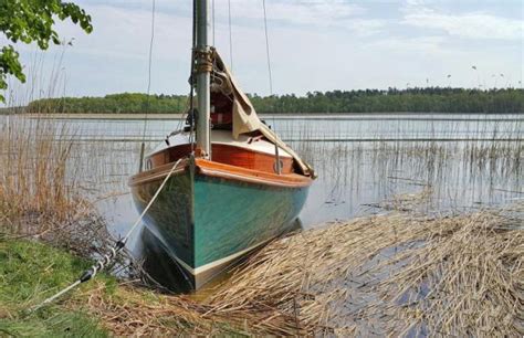 Catboat Seezunge Catboot Seezunge