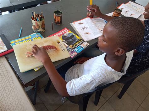 About Us Mindscape Education