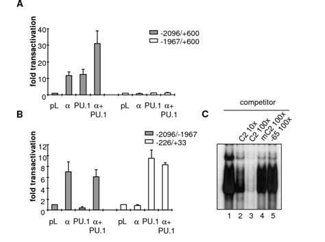 C Ebp And Pu 1 Cooperate In βc Gene Transcription A C Ebpα And Pu 1