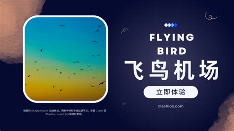 Flyingbird 飞鸟机场怎么样？飞鸟机场节点及测速 Clash 爱好者