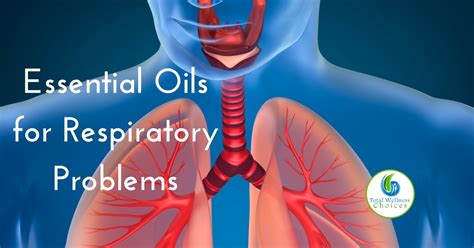 8 Best Essential Oils For Respiratory Support Breathing Problems