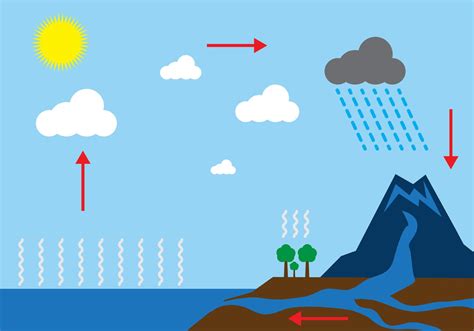 water cycle clip art pictures 10 free Cliparts | Download images on ...