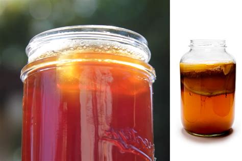 Kombucha Benefits Unveiled A Guide To Health And Wellnes