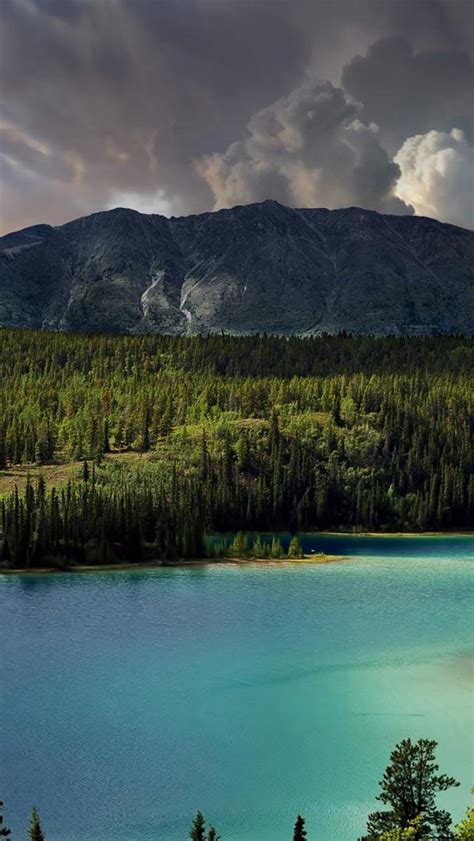 Bing HD Wallpaper Aug 21, 2023: Emerald Lake, Yukon, Canada - Bing ...