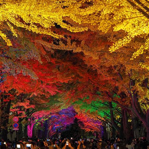 Best Places To See Autumn Leaves In Hokkaido Japan Cathay