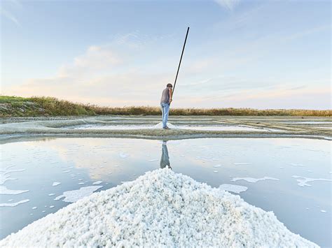 Promenade dans les marais salants de Guérande Espace Presse