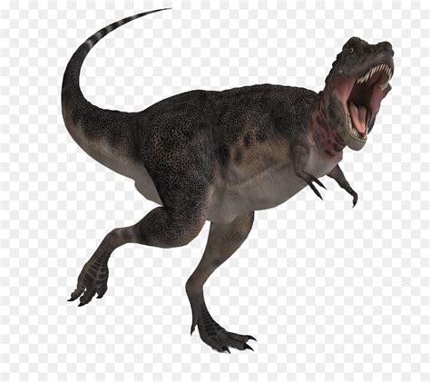 Tarbosaurus New Ideas By Matt Weaver Wiki Fandom