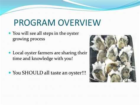 Program Overview Class Visit 1 Introduction And Biology Of Oysters