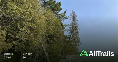 Detour State Forest Campground Trail Michigan 29 Reviews Map