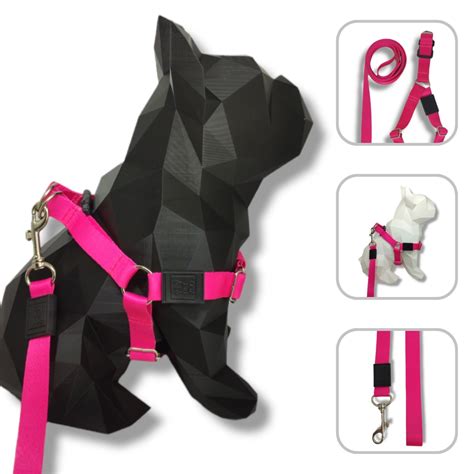 Conjunto Peitoral E Guia Para Cachorro Modelo Pink Shopee Brasil