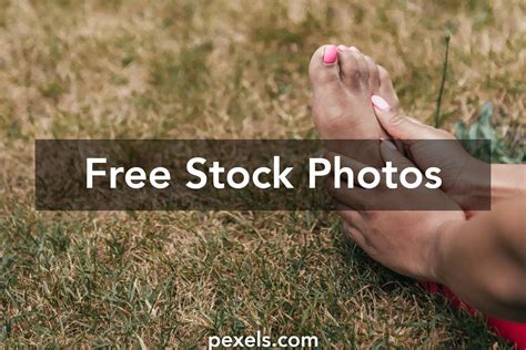 Manicure Lawn Photos Download The Best Free Manicure Lawn Stock Photos