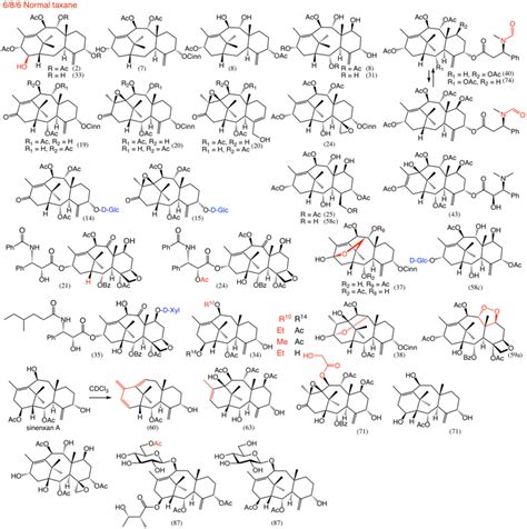 Taxane Diterpenoids