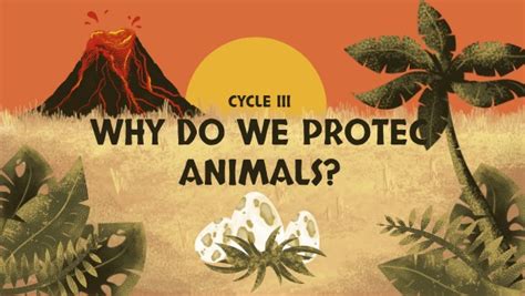 Why Do We Protect Animals