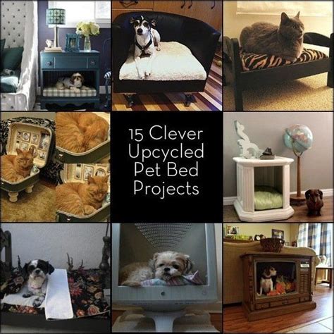 25 Fabulous Diy Pet Bed Ideas Artofit