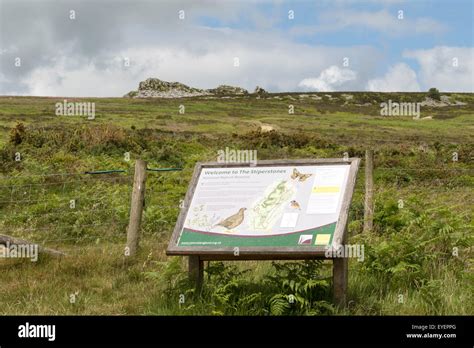 Stiperstones National Nature Reserve, Shropshire, England, UK Stock ...