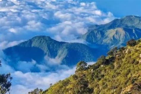 Misteri Gunung Gede Pangrango Mitos 5 Sosok Gaib Penunggu Gunung Yang