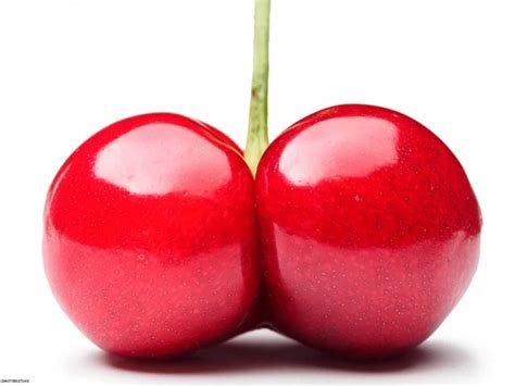 Como Fazer Sexo Anal Sem Dor Guia Completo