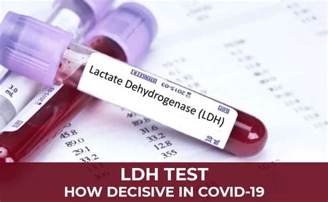 Lactate Dehydrogenase (LDH) Isoenzymes Test What Is? Uses, 47% OFF