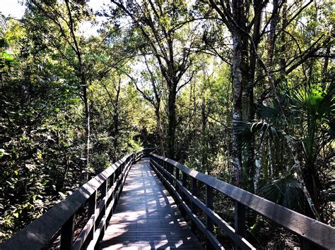 Fern Forest Nature Center Imagine Our Florida Inc