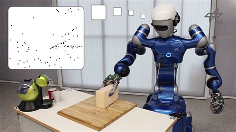 Planning And Execution Of Daily Cleaning Tasks With The Humanoid