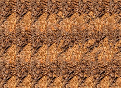 Pin On Fractal Stereogram Magic Eye Illusions