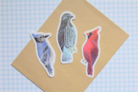 Midwestern Bird Vinyl Stickers Blue Jay Cardinal Hawk Etsy