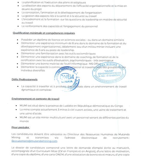 Mediacongo Net Offre D Emploi Chef De D Partement Efficacit