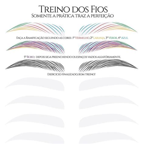 Folha De Treino Sobrancelhas Pdf BRAINCP