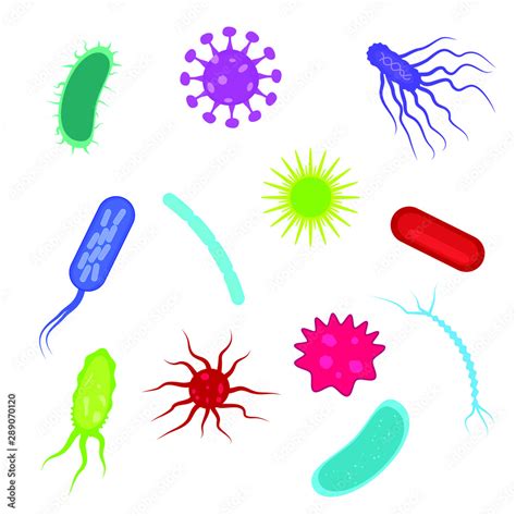 Bacteria Shapes Vector Set Colorful Cartoon Isolated Clip Art