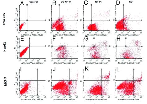 Apoptosis Assay Flow Cytometry Annexin V Alexa Fluor® 488propidium