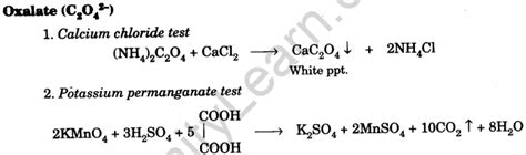 Chemistry Qualitative Analysis Infinity Learn By Sri Chaitanya