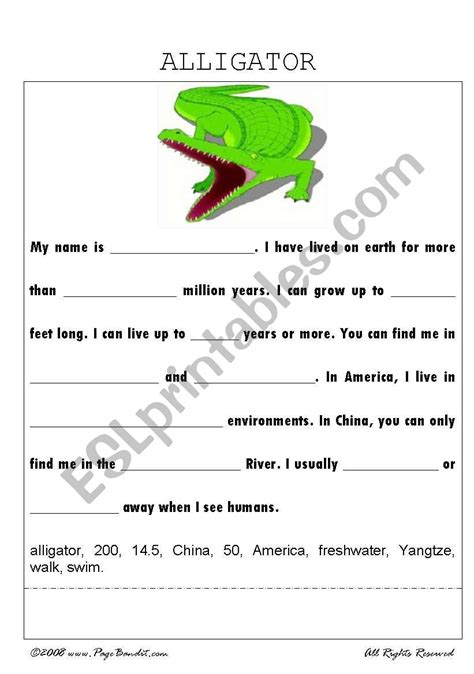 English Worksheets Alligator