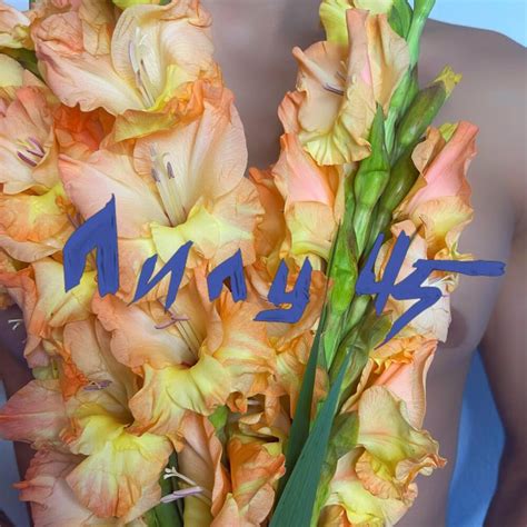 Лилу45 (Leelu45) – Гладиолусы (Gladiolus) Lyrics | Genius Lyrics