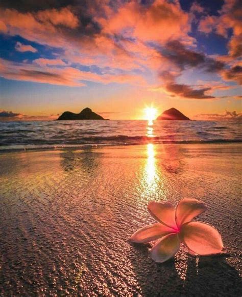 Pin By Healing Harmony And Hope On A Beautiful View Sunset Landscape