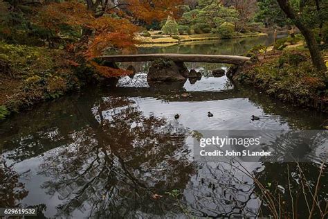 Japanese Stone Bridge At Rikugien Photos And Premium High Res Pictures