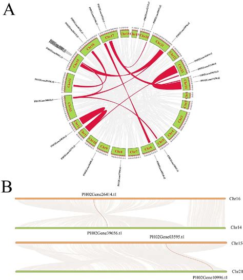 Figure 1 From Genome Wide Identi Cation And Functional Characterization