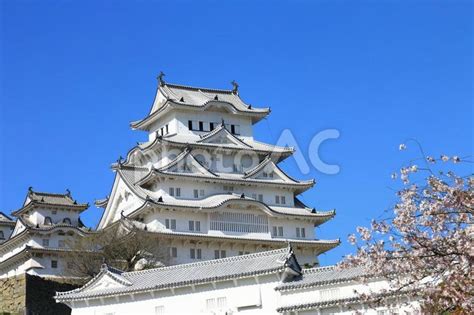 世界遺産 国宝 姫路城と桜 No 22095895｜写真素材なら「写真ac」無料（フリー）ダウンロードok