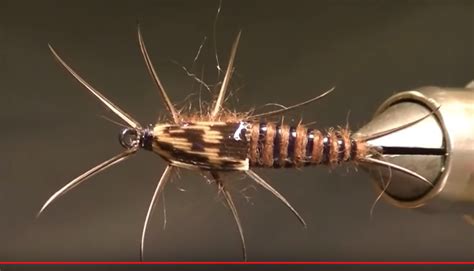 Stonefly Nymph Fly Tying Instructions By Ruben Martin