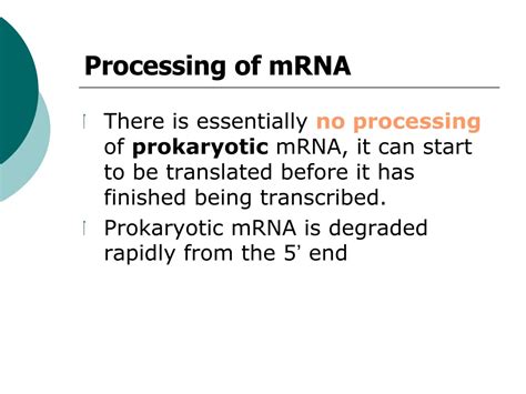 Ppt Rna Processing And Rnps Powerpoint Presentation Free Download